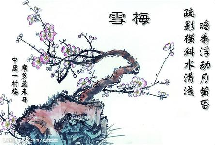 關(guān)于梅花的詩(shī)句和名言
