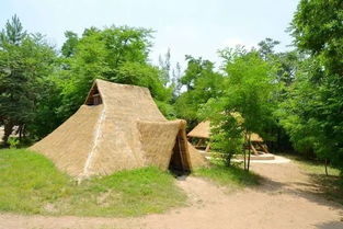 關(guān)于大地灣遺址的詩句