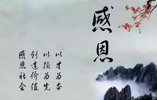 關(guān)于表達(dá)感恩的詩句