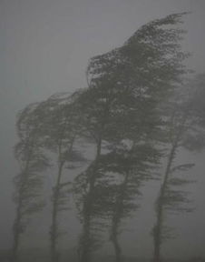 泥濘,詩(shī)句,風(fēng)雨