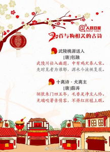 關(guān)于過大的古詩句