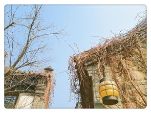 關(guān)于水和陽光的詩句