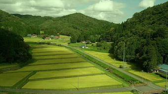 關(guān)于山上的房子詩句