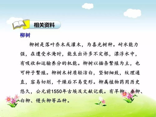采用比喻手法的古詩句有哪些,采用比喻手法的古詩句,用比喻手法寫的古詩有哪些
