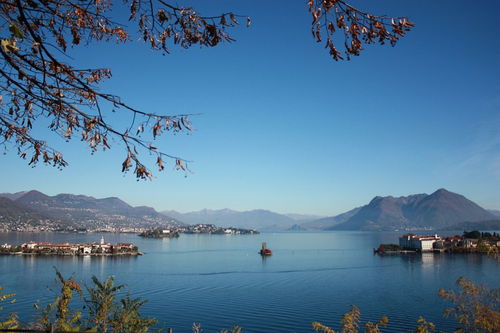 描寫月花的詩(shī)句古詩(shī)