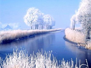 關(guān)于雪的古詩句初二