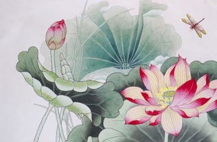 關(guān)于荷花的詩句與名篇