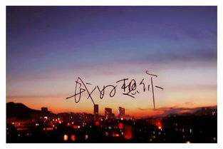 詩句,伴侶,思念