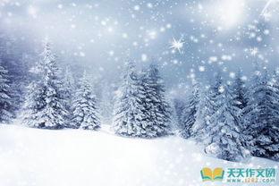 詩句,冬天,描述