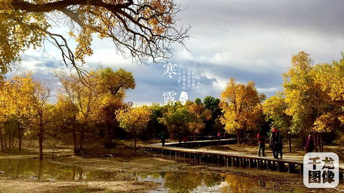 送別秋色的詩(shī)句古詩(shī)