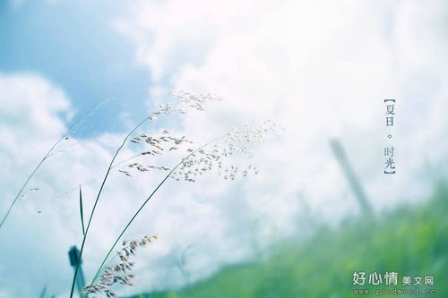 感嘆時間流逝的古詩句有哪些