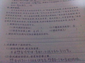 知音難覓內(nèi)心孤苦的古詩句