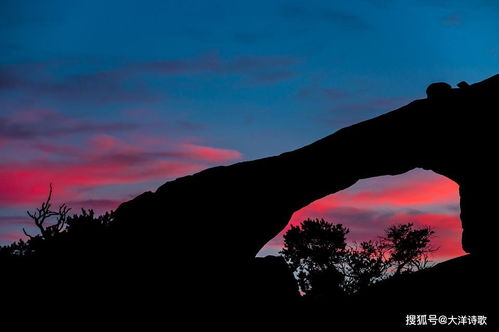 關(guān)于塵土的愛(ài)情詩(shī)句