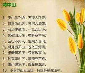 贊美風(fēng)景優(yōu)美的古詩句子