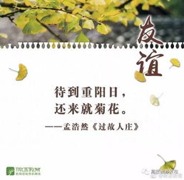 關(guān)于即將畢業(yè)的詩(shī)句