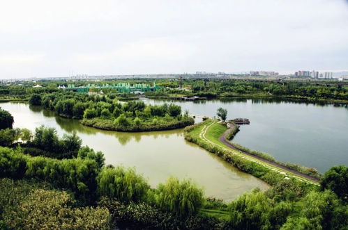 關(guān)于生態(tài)環(huán)境不好的詩句