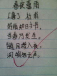 夸美女漂亮的古詩句,形容美女漂亮的古詩,贊美女人漂亮的古詩句