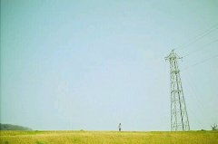 古詩中贊美奉獻的詩句