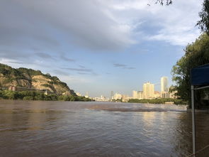 黃河,詩句,白云