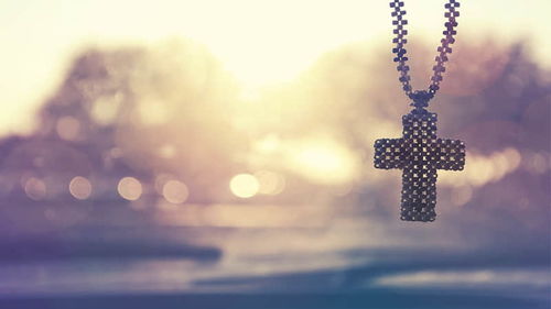 描寫(xiě)梅花的詩(shī)句古詩(shī)大全,描寫(xiě)春天梅花的詩(shī)句古詩(shī)大全,描寫(xiě)冬天花的詩(shī)句古詩(shī)大全