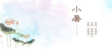 小暑的詩句古詩