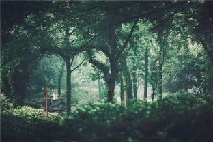 有關(guān)于苦讀書的詩句