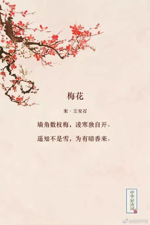 對關(guān)于喜歡花的詩句