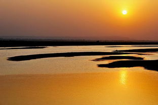 搜索關(guān)于黃河的詩句