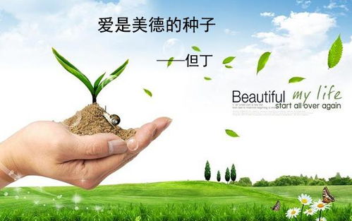 關(guān)于關(guān)愛的名言警句詩句歌曲