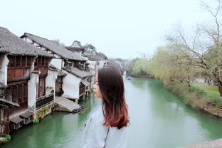 在某處景象前想起某句古詩(shī)句的經(jīng)歷