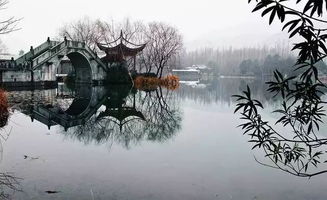 關(guān)于橋風的詩句