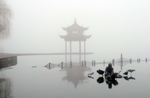 西湖,詩句,描寫,秋天