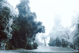 描寫冬景的詩句古詩