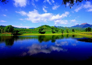 關(guān)于青山綠水的古詩(shī)句