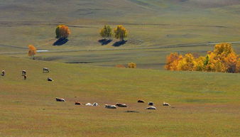 關(guān)于6月的贊美詩(shī)句