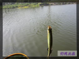 關(guān)于辛苦但幸福的詩(shī)句