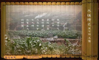 描寫冬霜的詩句古詩大全