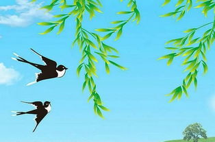 小學(xué)三級關(guān)于燕子的詩句古詩詞