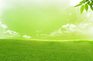 描寫下雪七句古詩句