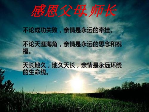 關(guān)于課外描寫父母之愛的詩句