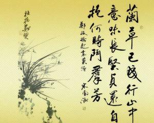 詩(shī)句,文學(xué),生活