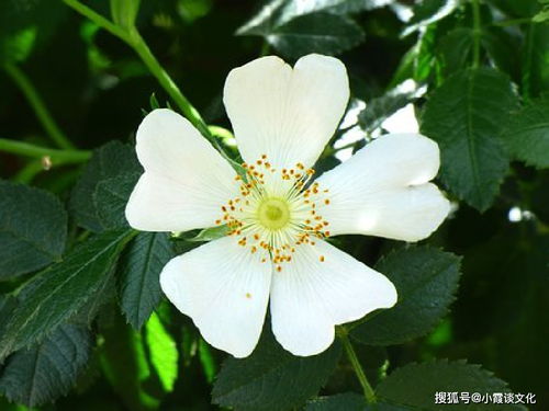 關(guān)于水的堅持不懈的詩句,形容堅持不懈的詩句,比喻堅持不懈的詩句