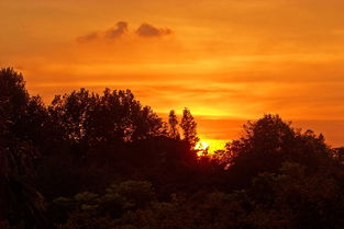 關(guān)于武漢夕陽的詩句