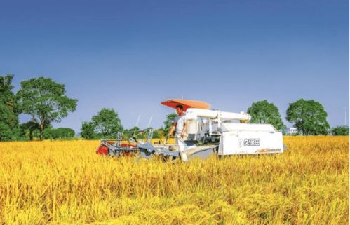 關(guān)于豐收的詩(shī)句片段