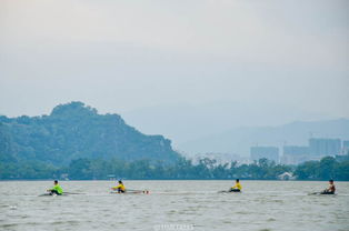 關(guān)于洞湖的詩句