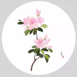 關(guān)于中國(guó)花的詩(shī)句