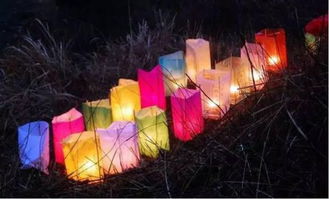 關(guān)于正月十五送燈的詩句