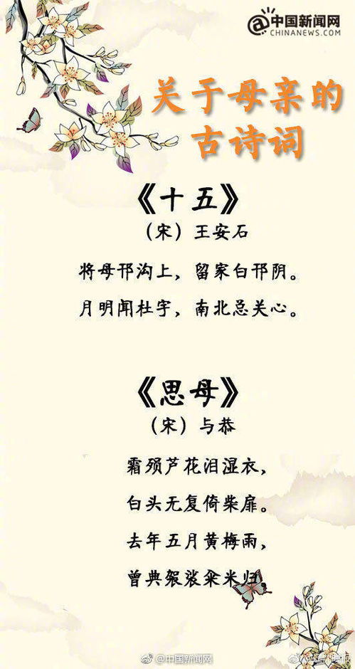 關(guān)于母愛(ài)的詩(shī)句是什么意思