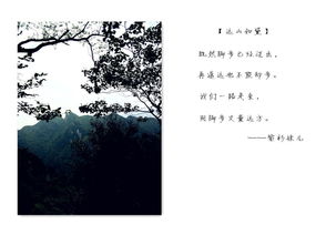 關(guān)于武陵山的詩句