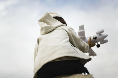 關(guān)于鼓勵從小樹立志向的詩句